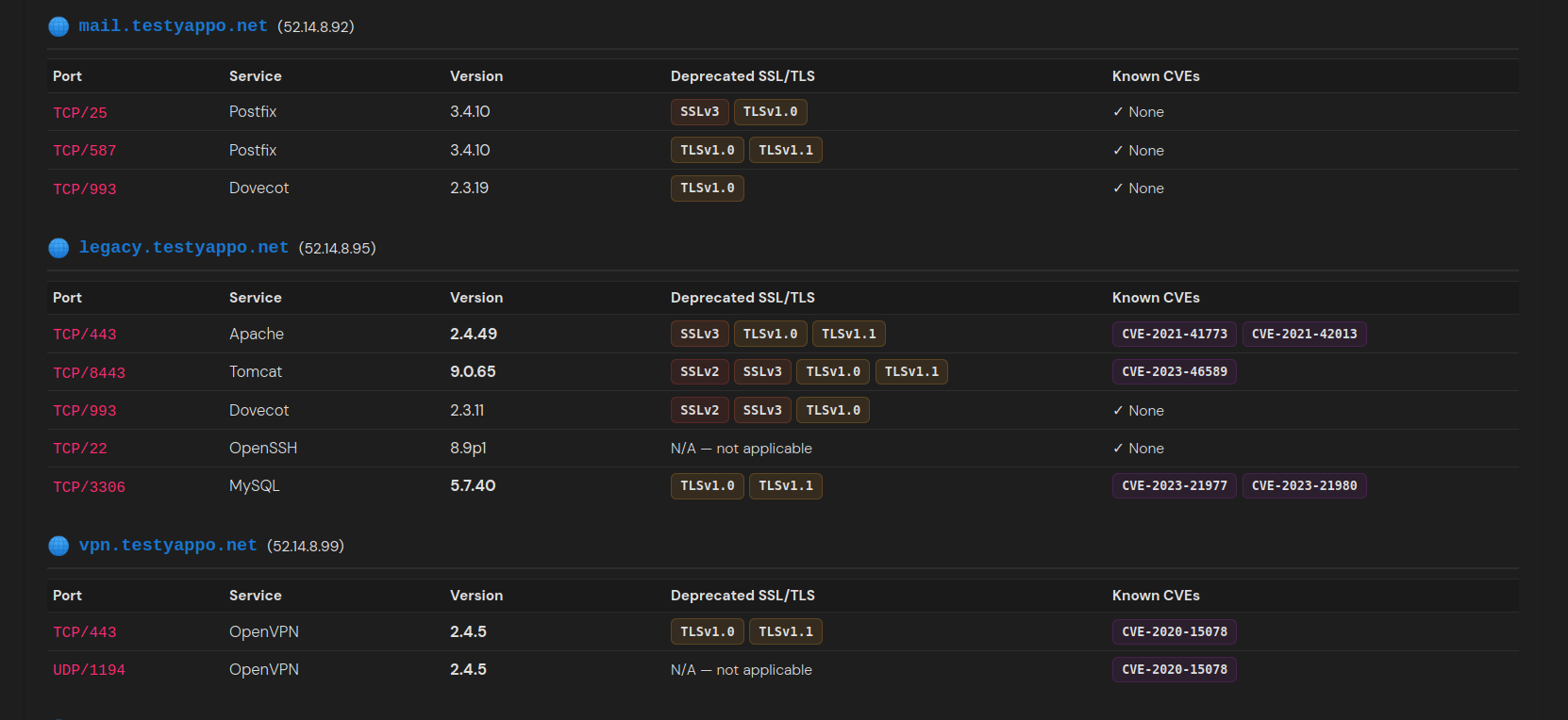 Domain Checkup detail view — subdomain breakdown with ports, services, versions, TLS status, and CVEs