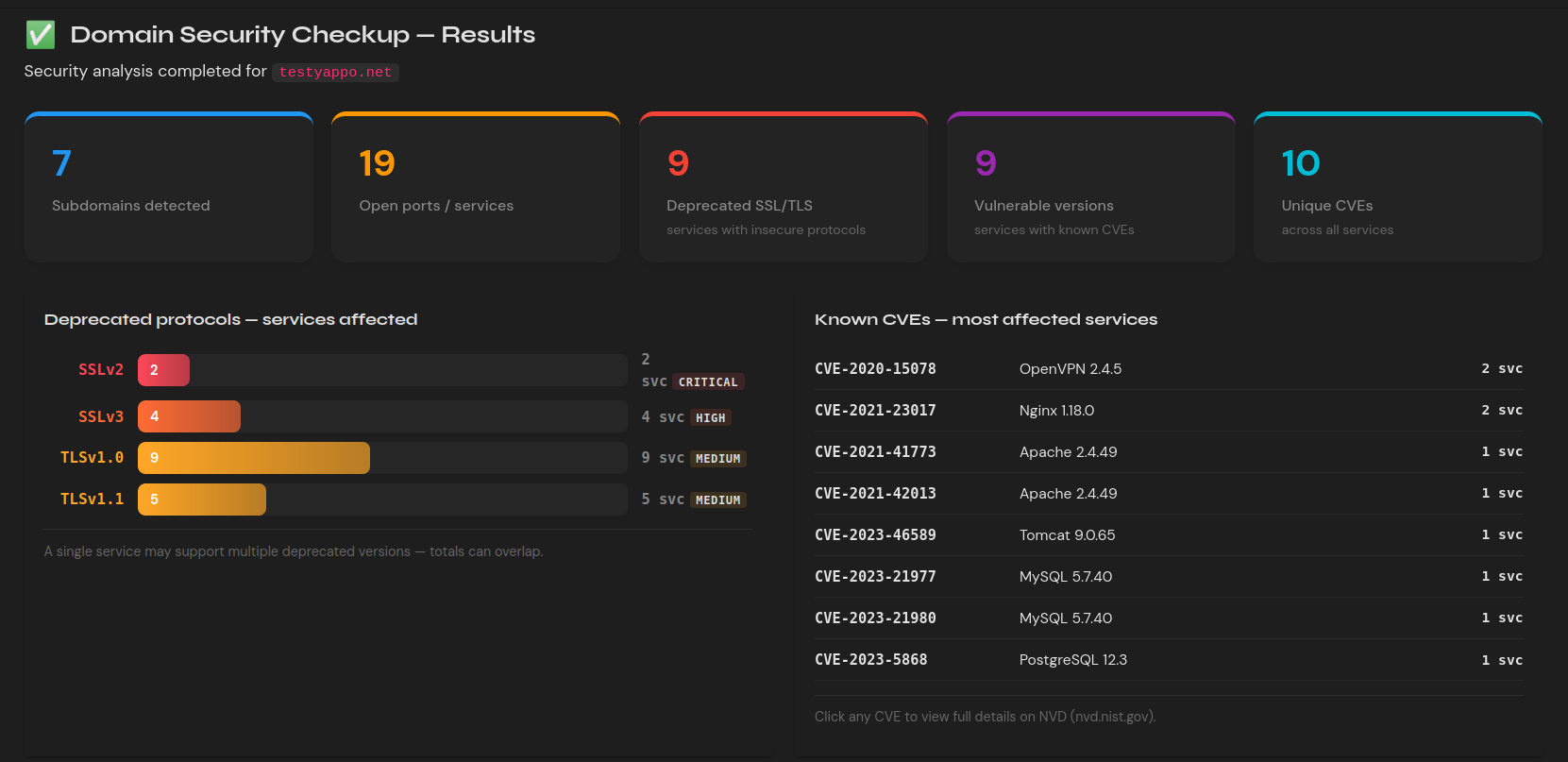 Domain Checkup results — subdomains discovered, open ports, deprecated TLS protocols, and known CVEs